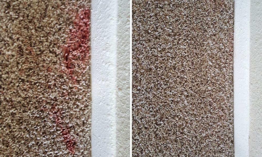 Before After Carpet Cleaning Red Ink