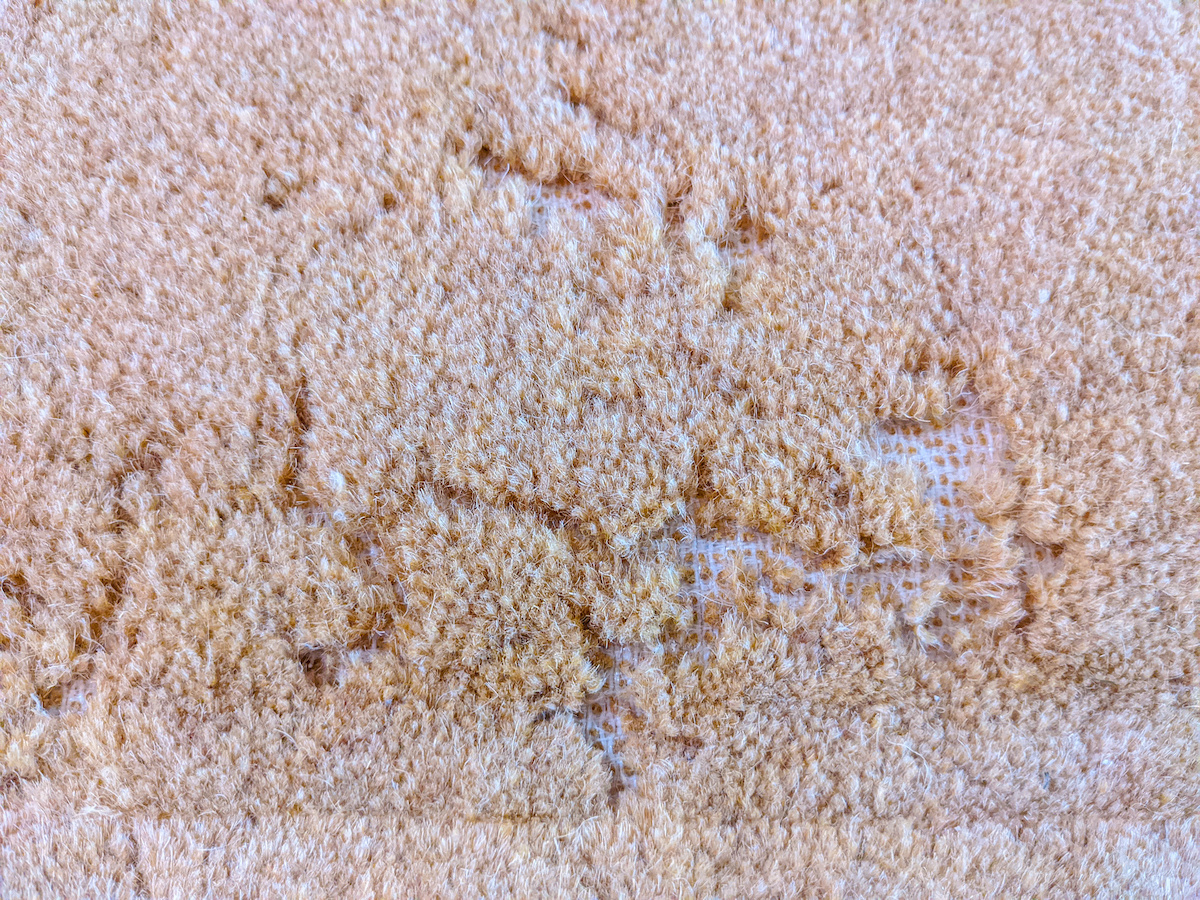 carpet needs repair