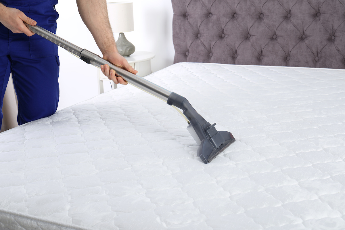mattress cleaning service