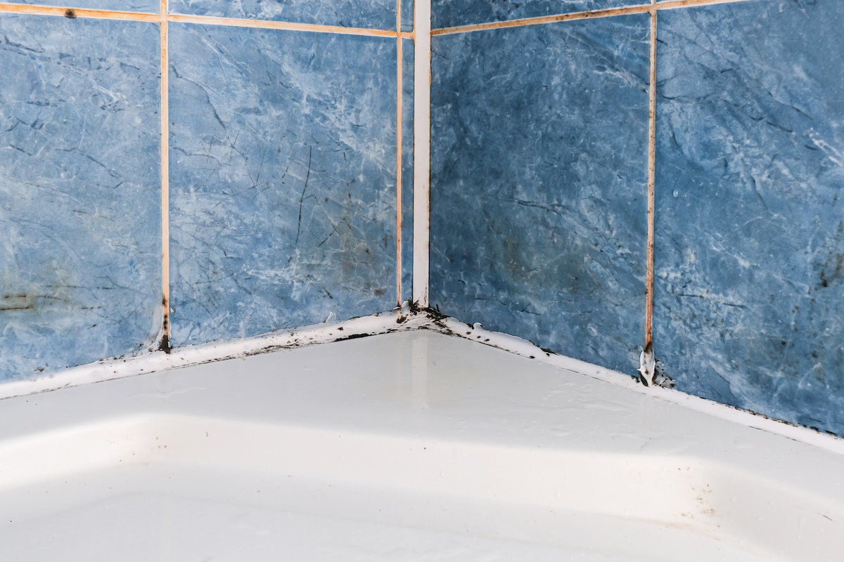 tile and grout cleaning tips