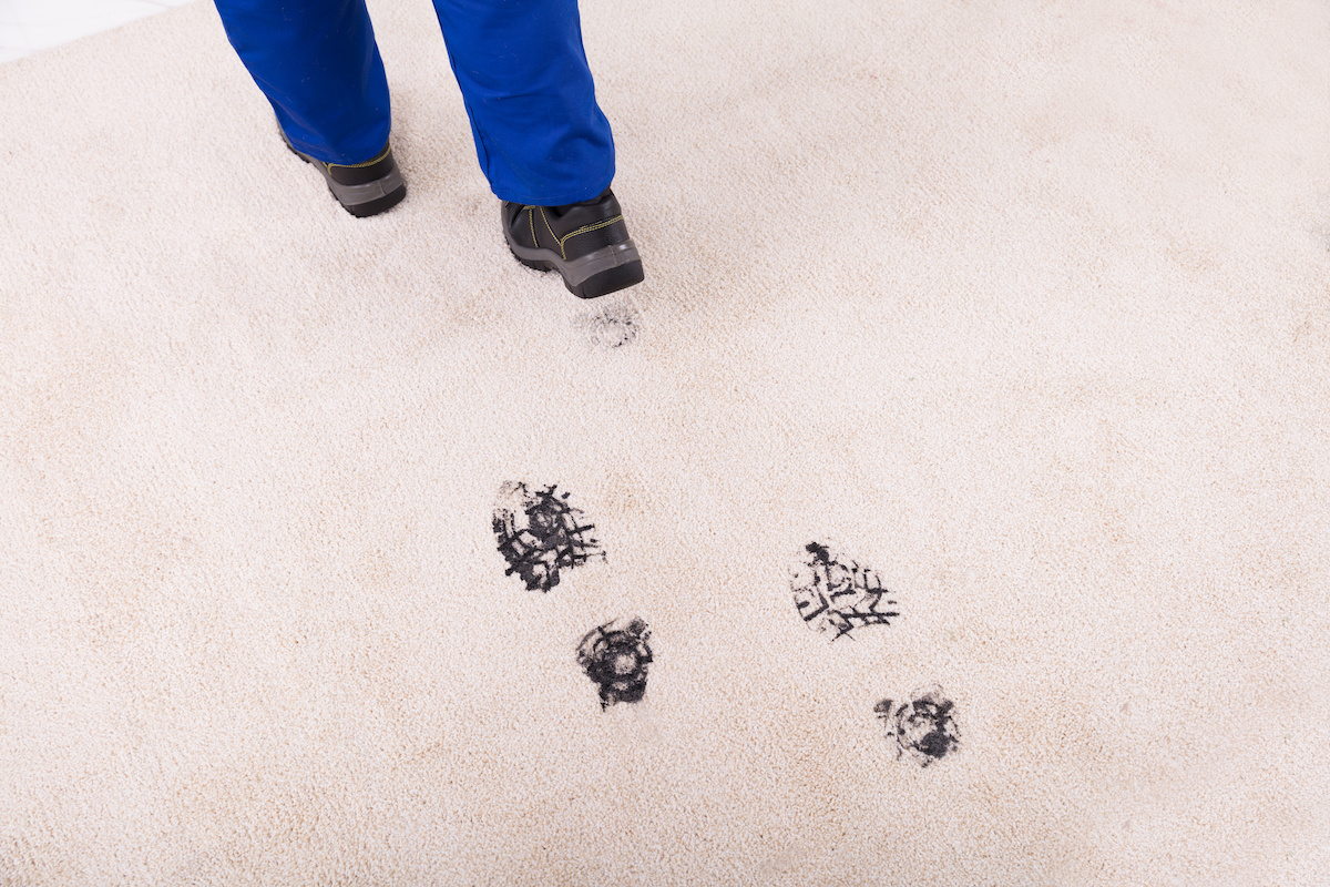 care tips for your carpet