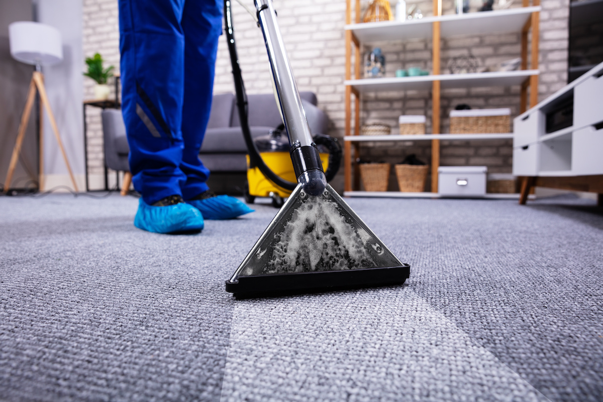 Regular Professional Carpet Cleaning