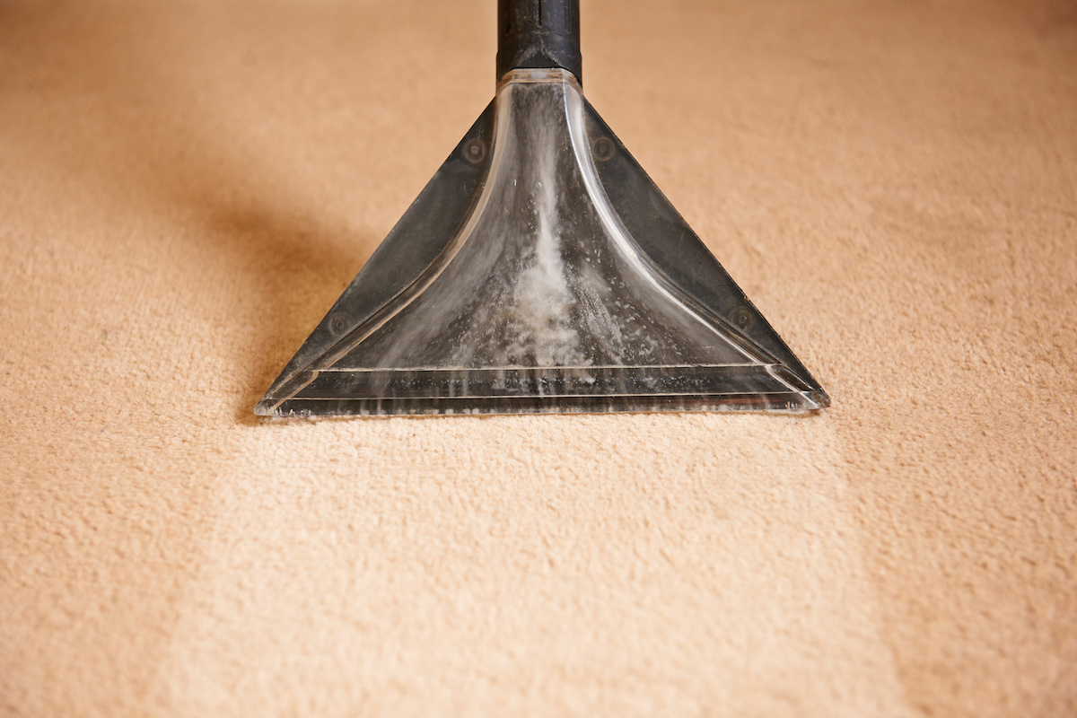 Regular Professional Carpet Cleaning